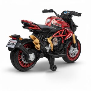 Moto eléctrica TYC800RC