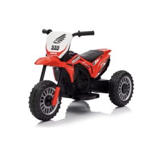 Moto eléctrica JC011